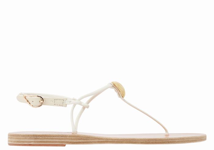 Sandales Bride Arrière Ancient Greek Sandals Dimitra Flip Flop   | JWC-1185266